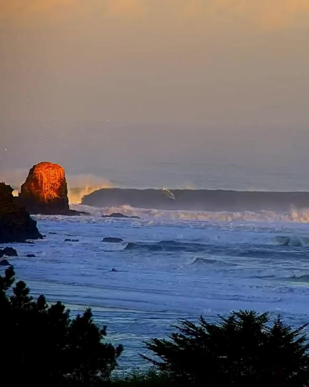 Ola larga en Punta de Lobos Pichilemu Chile rompiendo al amanecer frente a un peñón iluminado de naranja, con mar espumoso y pinos en primer plano en la costa